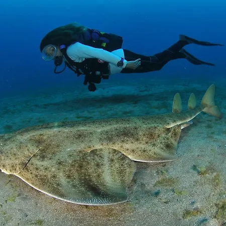 Apartmán Atico San Miguel *